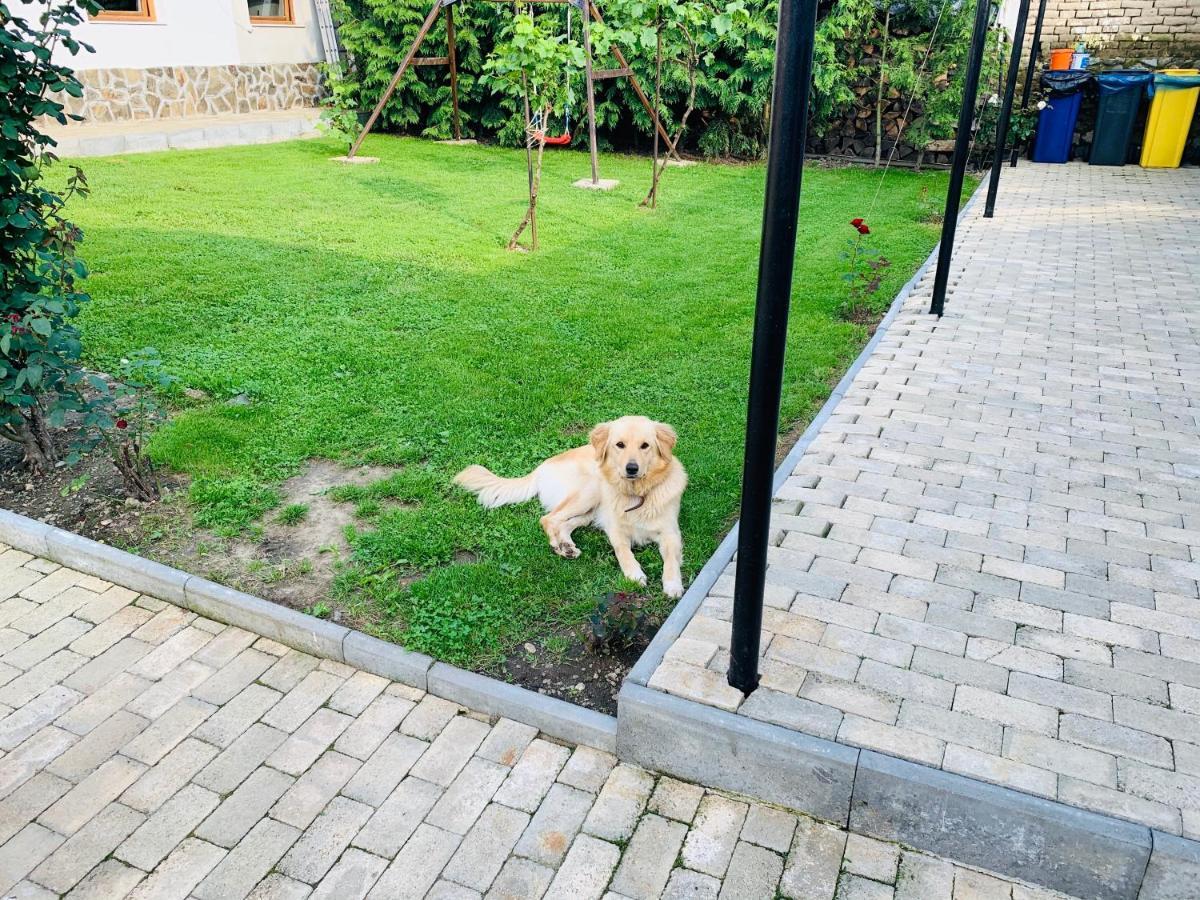 מלון Eftimie Murgu Casa "La Moara Din Gradina" מראה חיצוני תמונה