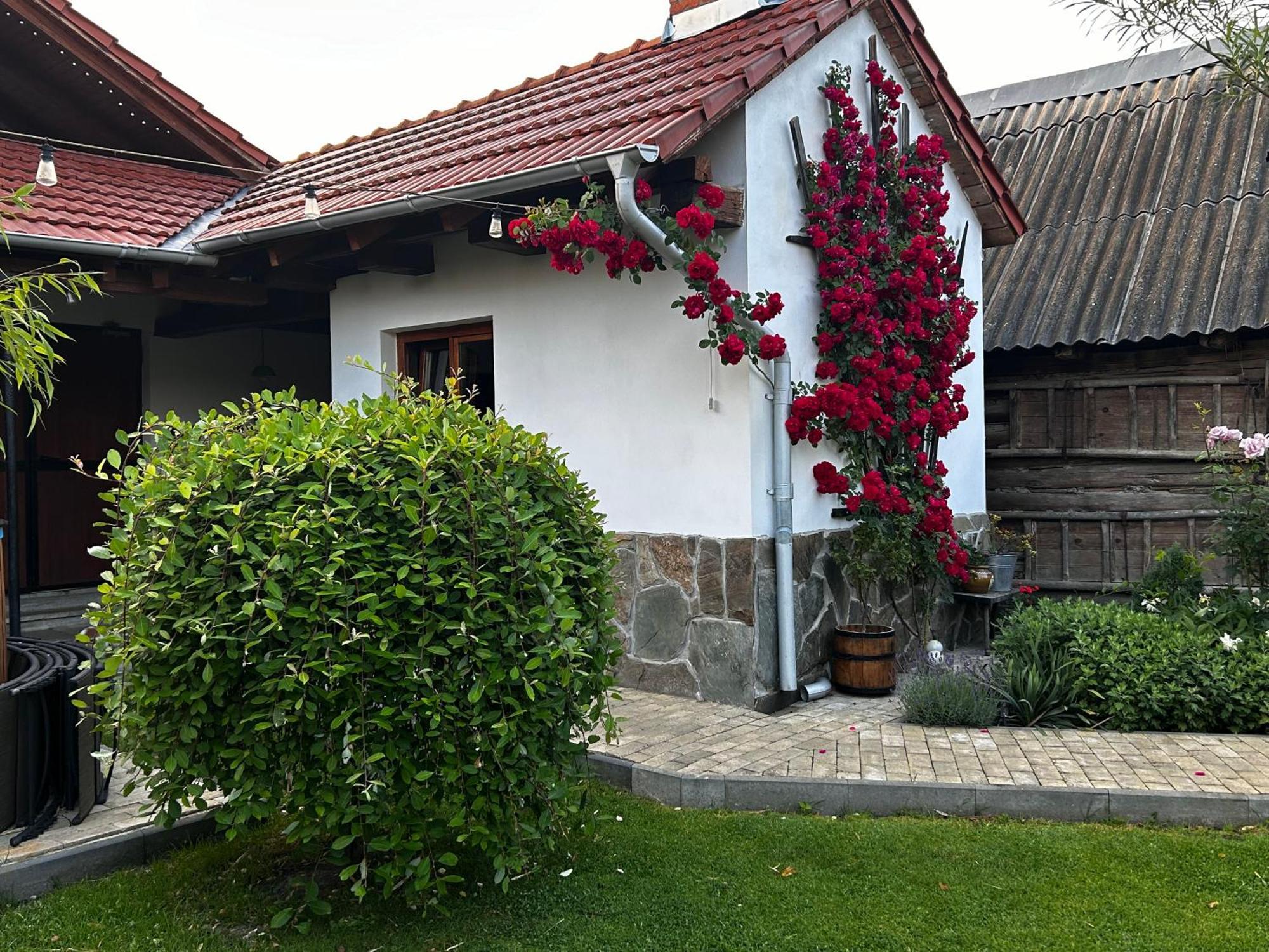 מלון Eftimie Murgu Casa "La Moara Din Gradina" מראה חיצוני תמונה