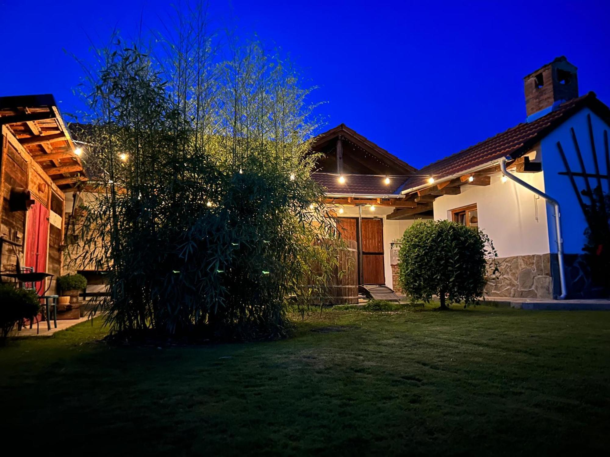 מלון Eftimie Murgu Casa "La Moara Din Gradina" מראה חיצוני תמונה
